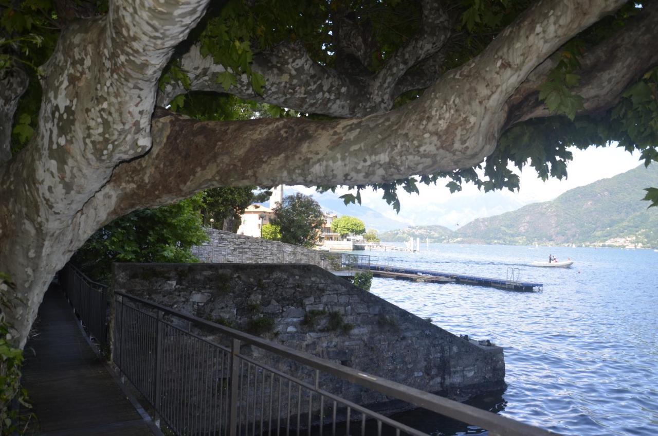 Anma Cottages The Secret Garden Pianello Del Lario Extérieur photo