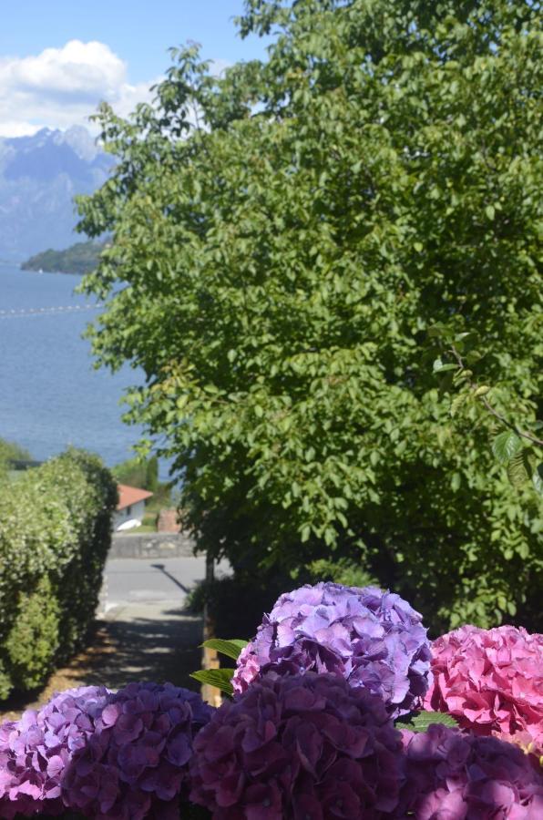 Anma Cottages The Secret Garden Pianello Del Lario Extérieur photo