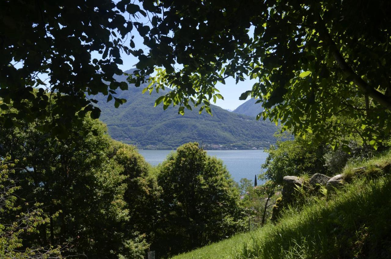 Anma Cottages The Secret Garden Pianello Del Lario Extérieur photo